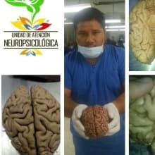 Foto de Lic. Hervey Fuentes de la Cruz