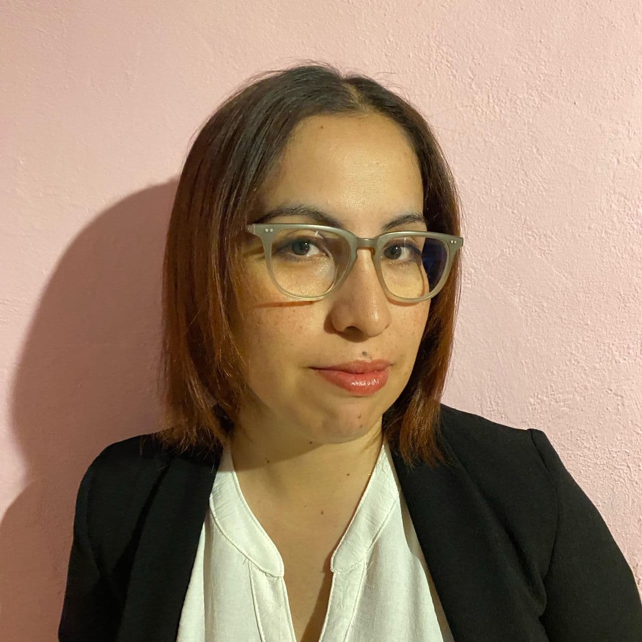 Foto de Lic. Lourdes Mendez de la Torre